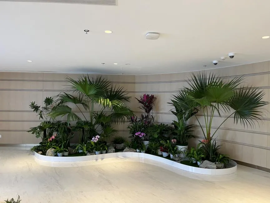 专业花木租赁，宁波前湾的绿色优选